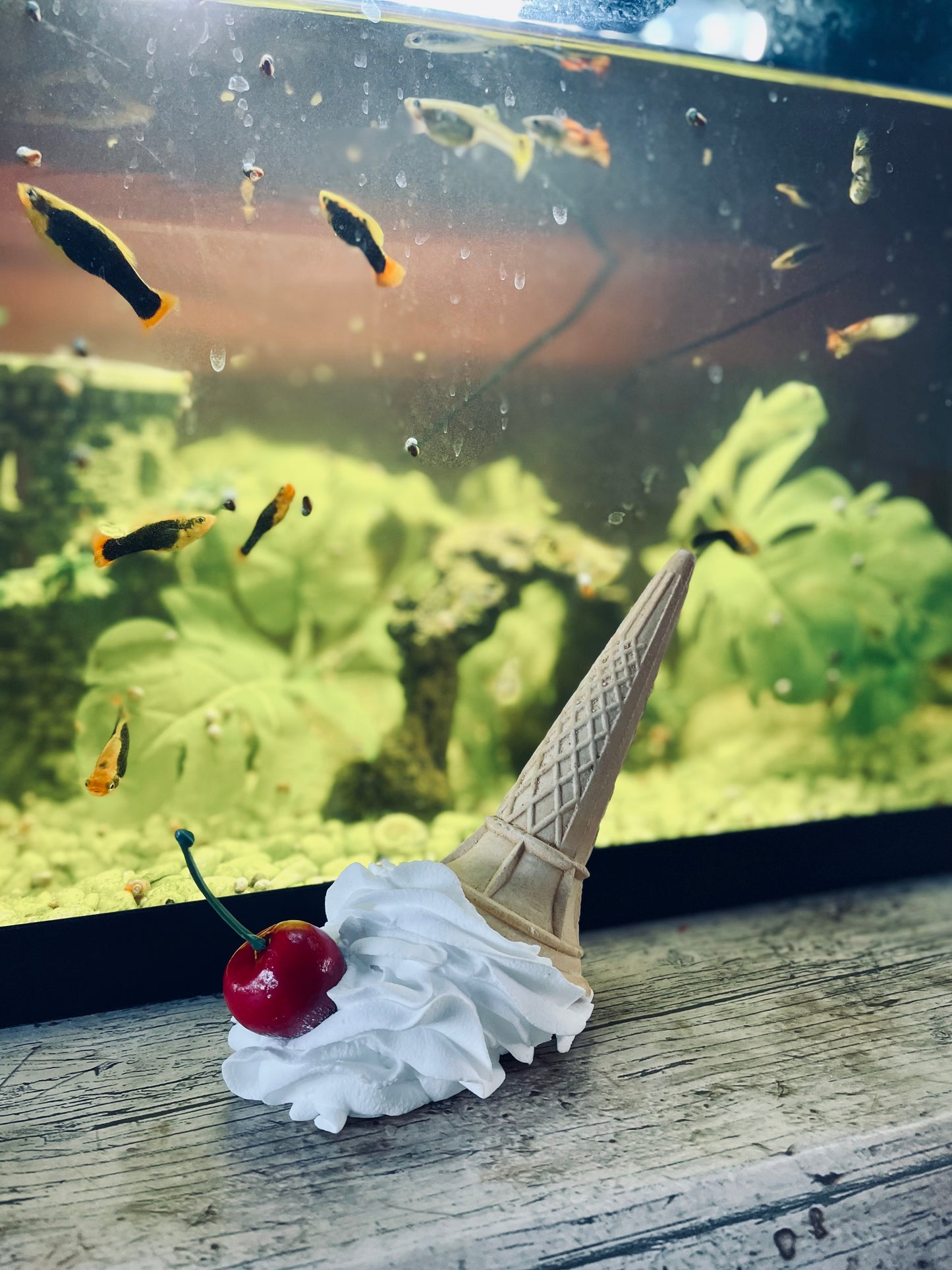 Ice-cream art